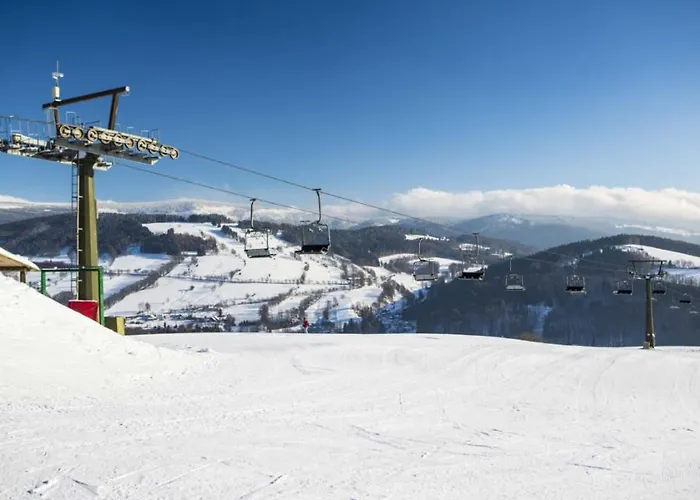 Berenika *